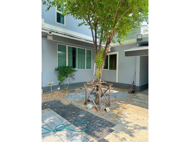 P2063 ให้เช่าบ้านเดี่ยว 2 ชั้น โครงการ บุราสิริ ปัญญาอินทรา Buras