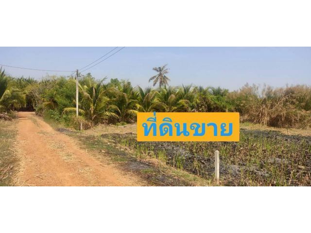 ที่พร้อมสวนมะพร้าว