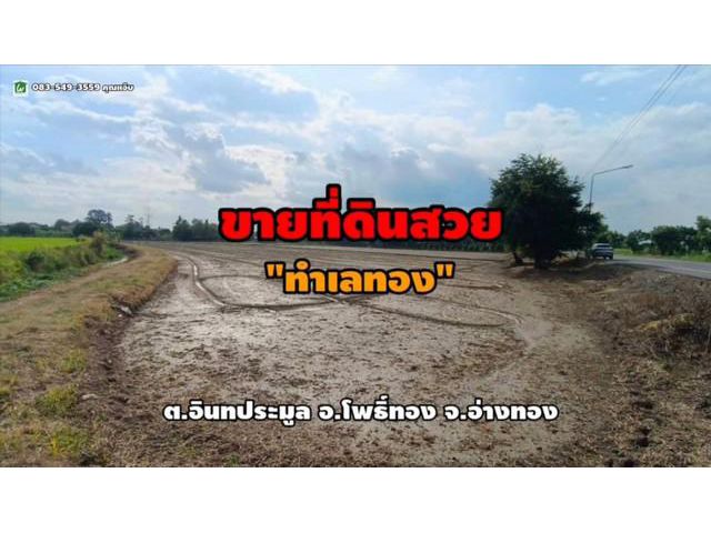 ขายที่ดิน 5 ไร่ ใกล้วัดขุนอิน ต.อินทประมูล อ.โพธิ์ทอง จ.อ่างทอง