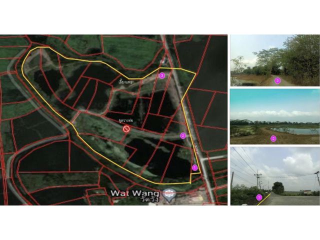 ขายที่ดินเปล่า 113-0-60 ไร่ ทำเลดี จ.พระนครศรีอยุธยา ( มหาราช )