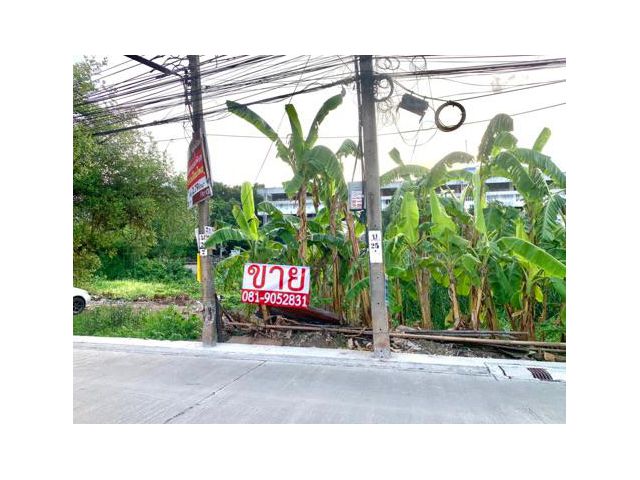 ขายที่ดิน178ตร.วาดอนเมืองสรงประภา30-เตชะตุงคะ