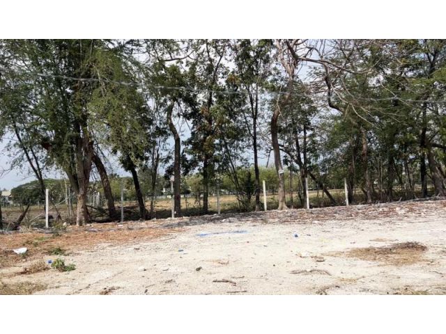 ขาย ที่ดิน 132 ตร.ว ถม 10 ปี เฉลิมพระเกียรติ สวนหลวงร.9