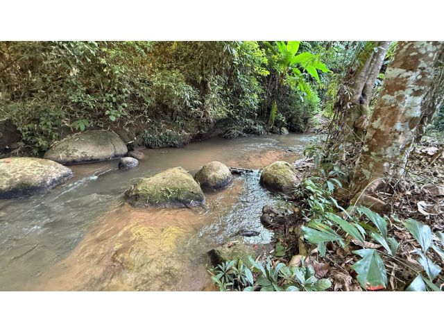 ขายที่สวนติดลำธารน้ำไหลผ่านแม่นะเชียงดาวพร้อมโอน