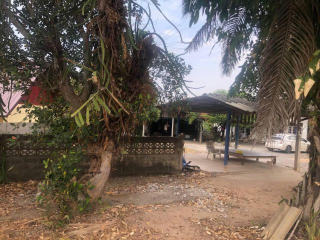 L1814 ขายบ้านพร้อมที่ดิน 383 ตรว นิคมพัฒนา ระยอง