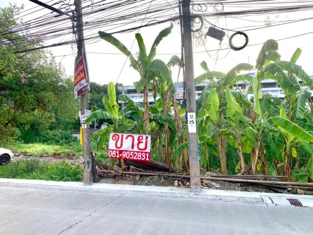 ขายที่ดิน89ตร.วาดอนเมืองสรงประภา30เตชะตุงคะนำ้ไม่ท่วม