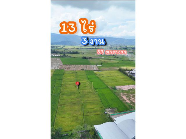 ขายที่นา 13-3-37 ไร่ ราคาปรับใหม่เหลือเพียง 120,000 บาท/ไร่ – ต.แม่เย็น อ.พาน เชียงราย