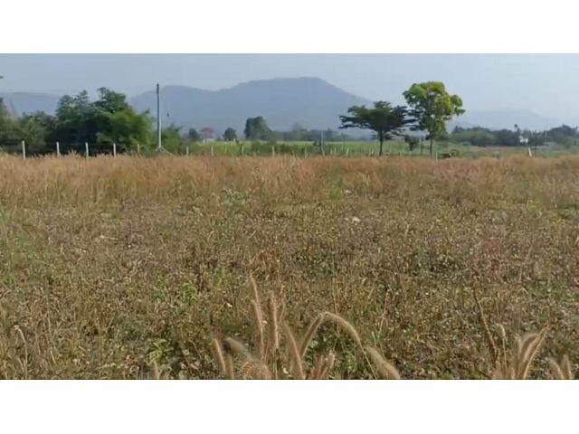 ที่ดินวังไทร-ปากช่อง วิวเขายายเที่ยง ล้อมรอบวิวเขา