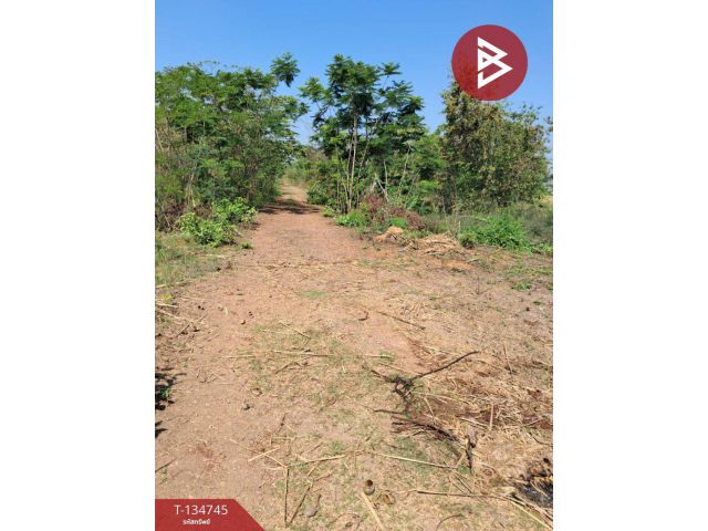 ขายที่ดิน เนื้อที่ 1 งาน บางบัวทอง นนทบุรี