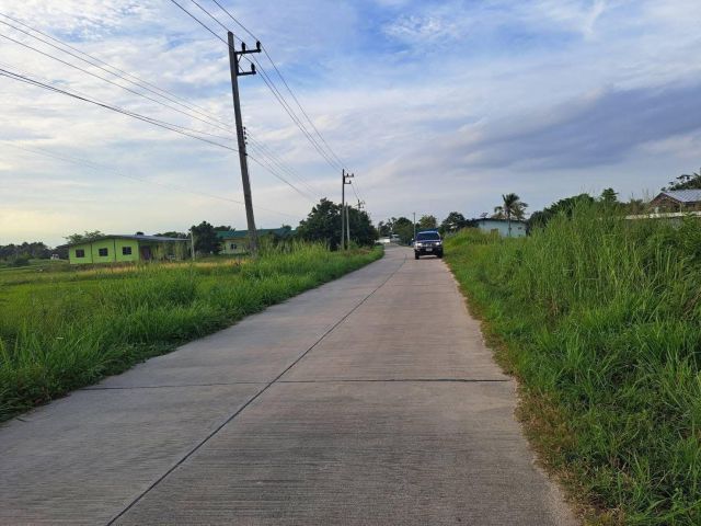 ขายที่ดินพานทอง ชลบุรี 8ไร่ สีเหลือง ใกล้ อบต.หนองหงษ์ เหมาะทำโรงงาน โกดัง บ้านจัดสรร