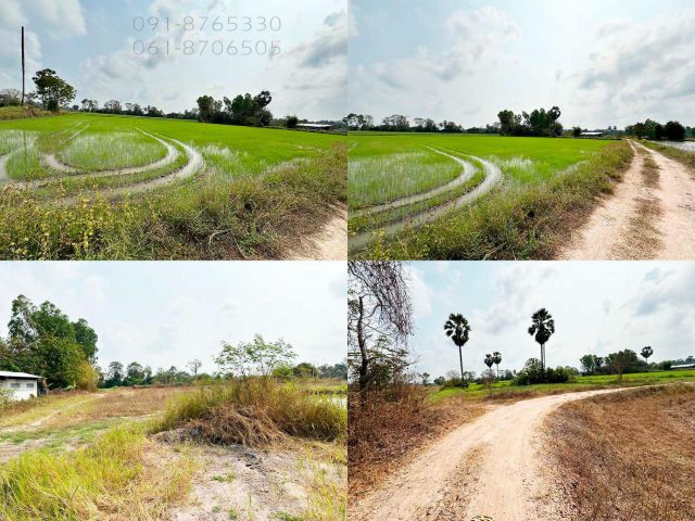 ขายที่ดิน หนองฉาง อุทัยธานี 51ไร่ มีบ้านอีก 1 หลัง เหมาะปลูกบ้าน ทำนา ทำเกษตร มีน้ำคลอง ขายราคาถูก