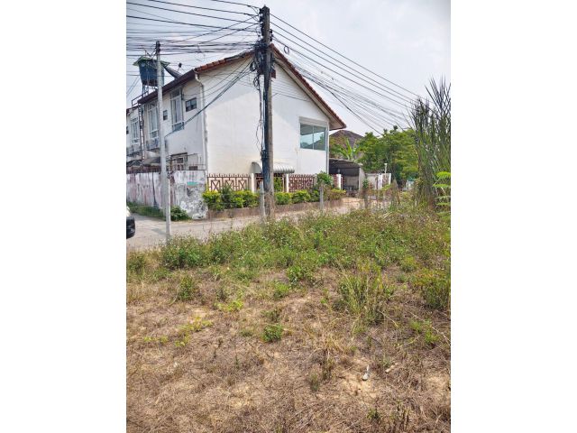 ขายที่ดินตำบลหนองผึ้งสารภีห่างแยกกองทราย 350 เมตร