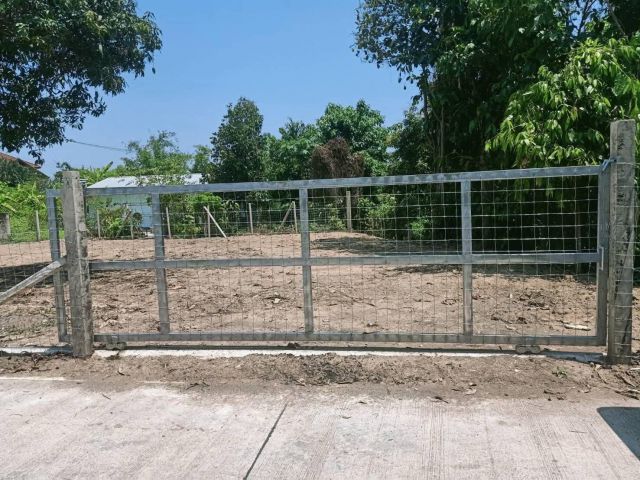 ขายที่ดินตำบลสารภีห่างถนนต้นยางเพียง 400เมตร