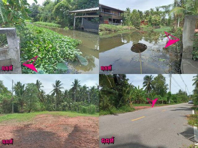 ติดคลองหน้ากว้าง 15 ม. ถมเต็ม มีเขื่อน ใกล้ถนน 4 เลน ที่ 120 ตรว.