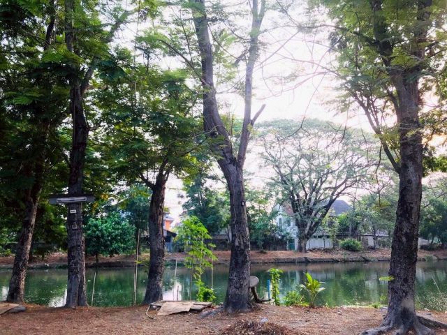 ขายที่ดินริมบึง ถนนนวมินทร์