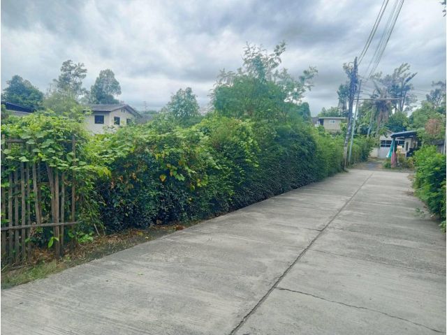 ขายที่ดินตำบลหนองผึ้งสารภีติดถนนสองด้านพร้อมโอน
