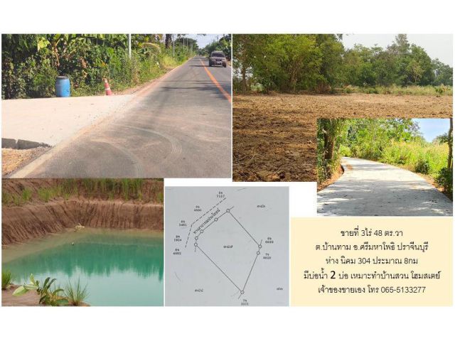 ที่ดิน 3ไร่ 48ตร.วา