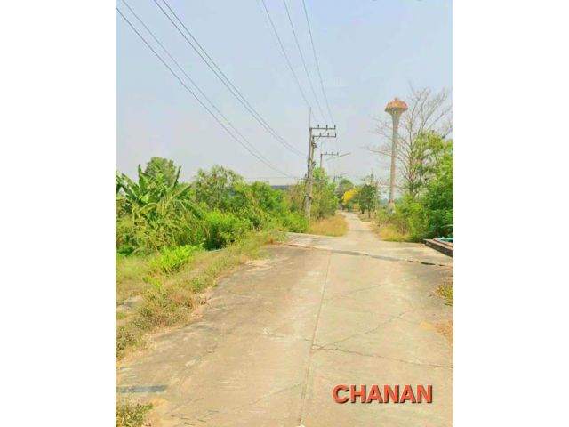 ขายที่ดินหมู่บ้านเวลเนสซิตี้ ถ.โยธาธิการ3111 อ.บางไทร จ.พระนครศรีอยุธยา เนื้อที่395ตรว
