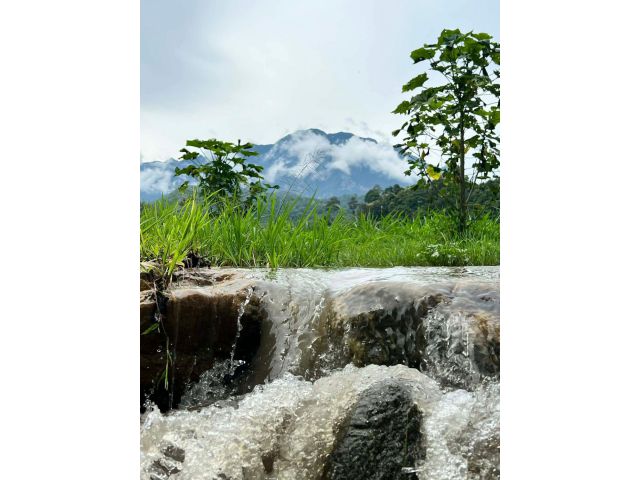 ขายที่ดินตำบลแม่นะติดลำธารน้ำวิวดอยหลวงโฉนด