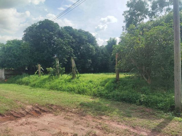 ขายที่ดินแถวสันทรายถมดินสูงโฉนดพร้อมโอน