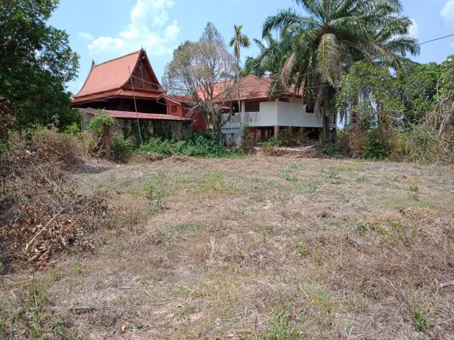 ด่วน! ขายที่ดิน 50,000 บ.