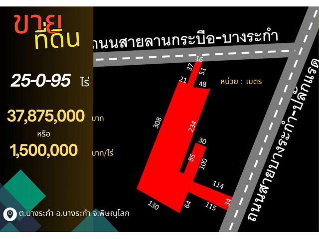 ที่ดินพิษณุโลก บางระกำ 25-0-95 ไร่ ติดถนนหลวง 2 ด้าน