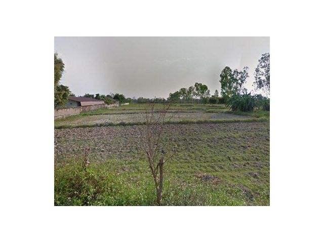 ขายที่ดินต.บ้านดู่ อ.เมืองเชียงราย เนื้อที่ 4-0-23 ไร่
