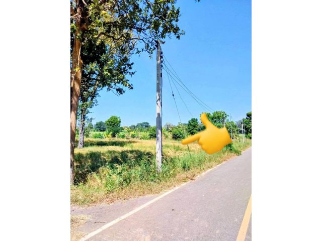 ที่ดินโฉนด ติดถนนลาดยาง ราคาถูก หนองกี่ บุรีรัมย์