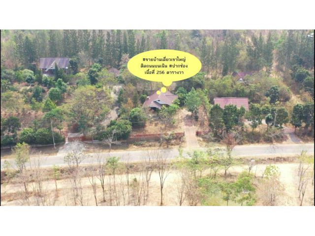 ขายบ้านเดี่ยวเขาใหญ่ เขาใหญ่ปากช่อง ติดถนนบนเนิน บ้านหนองตะกู