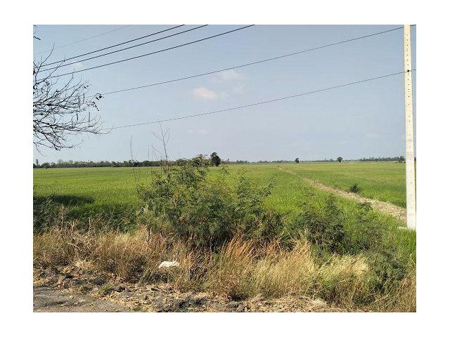 ขายที่ดินติดถนนหลัก 2219 ใกล้ปั๊มน้ำมันบางจาก เพียง 500 เมตร จ.ลพบุรี