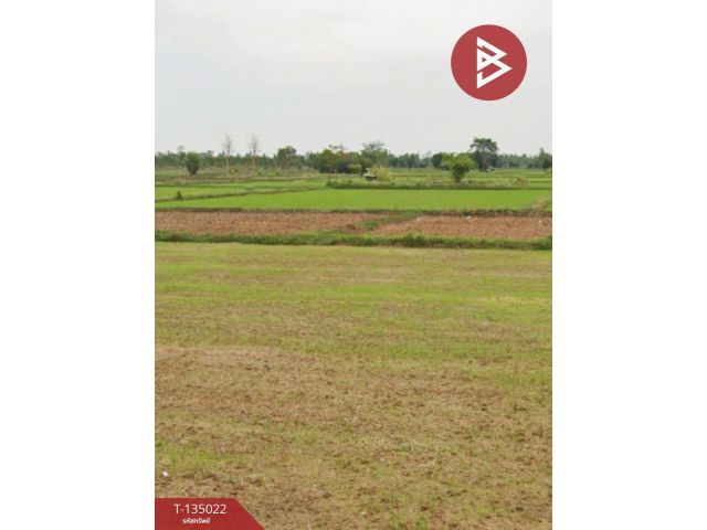 ขายด่วน ที่ดินเปล่า 4 ไร่ ประโคนชัย บุรีรัมย์