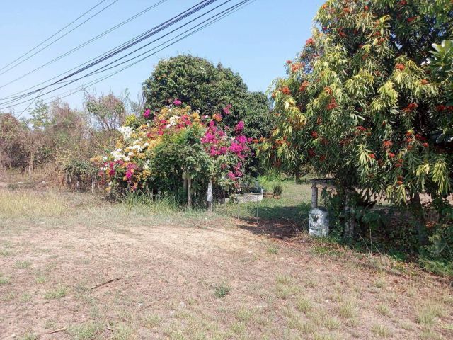 ขายที่ดิน 6-1-96 ไร่ ปากท่อ ราชบุรี