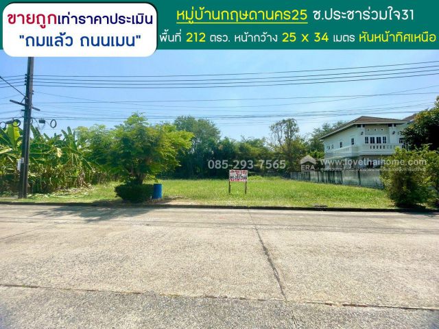 ขายที่ดิน ซอยประชาร่วมใจ31 หมู่บ้านกฤษดานคร25 พื้นที่ 212 ตารางวา ถมแล้ว ถนนเมน ขายถูกเท่าราคาประเมิน