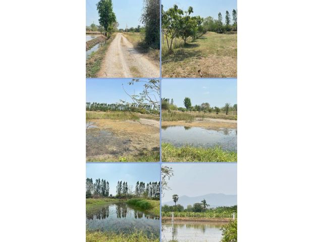 ที่ดินให้เช่าและขาย