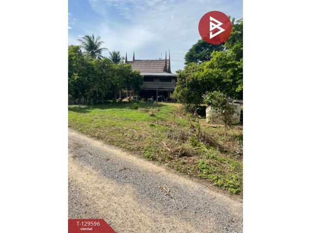 ขายที่ดิน เนื้อที่ 3 งาน 56 ตร.วา บ้านลาด เพชรบุรี
