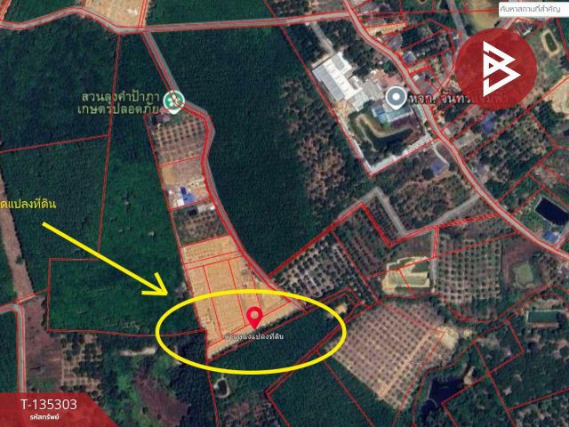 ขายที่ดิน เนื้อที่ 1 ไร่ 1 งาน 61 ตร.วา แสลง จันทบุรี