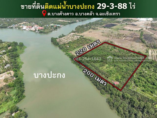 ขายที่ดินติดแม่น้ำบางปะกง บางคล้า ฉะเชิงเทรา พื้นที่ขนาดใหญ่29-3-88ไร่ ราคา24ล้าน แปลงสวย บรรยากาศธรรมชาติดีมากๆ