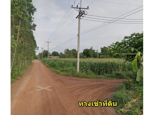 ขายที่ดินวังตะเคียน 17 ไร่ ไร่ละ200,000฿ ติดฟาร์มไก่ ใกล้ถ.เส้น2006-5.2กม. อ.กบินทร์บุรี ปราจีนบุรี