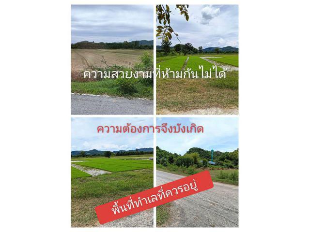 ข่าวลึกไม่ถึงกับลับ เรื่องเล่าเช้าสายบ่ายเย็นให้เห็นความเป็นจริง ที่ทำกินถิ่นที่อยู่อาศัย ที่ใครๆยังไม่รู้ จึงรู้ก่อนใคร