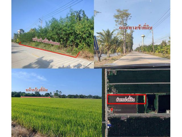 ขายที่นา 10 ไร่ 12ล. ติดถนนคอนกรีต คลอง9 บึงกาสาม
