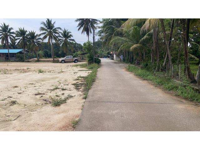 ขายที่ดินจัดล๊อก100-200ตรว มี7แปลงผ่อนอยู่ บ้านค่าย ระยอง