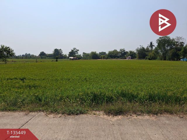 ขายที่ดิน เนื้อที่ 6 ไร่ 14 ตร.วา วังทอง พิษณุโลก