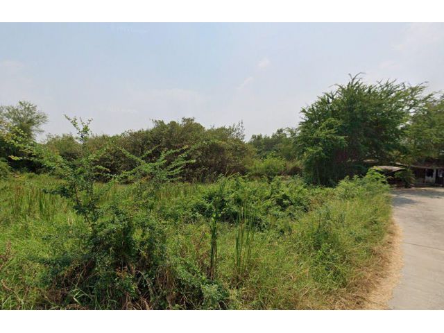 ขายที่ดิน 7 ไร่ ต.บางนาง อ.พานทอง จ.ชลบุรี