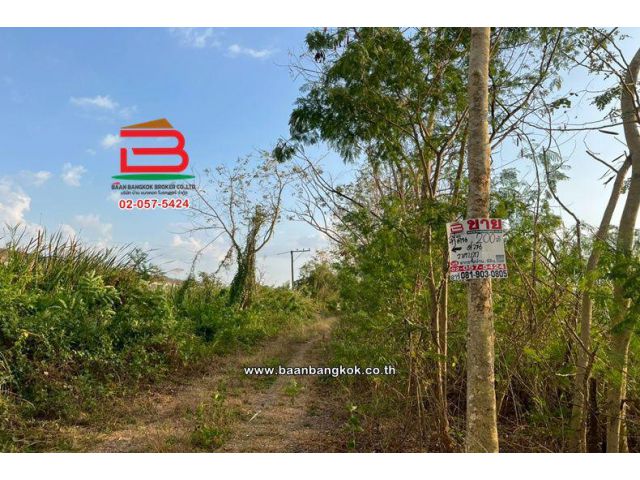 ที่ดินเปล่า เนื้อที่ 200 ตร.ว. ซอยตรงข้ามปั๊มคาลเท็กซ์ คลอง 11 ถนนรังสิต-นครนายก ตำบลบึงน้ำรักษ์ อำเภอธัญบุรี ปทุมธานี