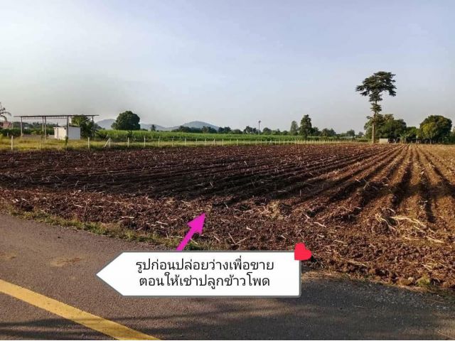 L1823 ขายที่ดิน 3 ไร่ อู่ทอง สุพรรณบุรี