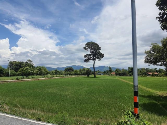 ที่นา วิวเขา  เเบ่งขาย2 ไร่ จาก 6 ไร่