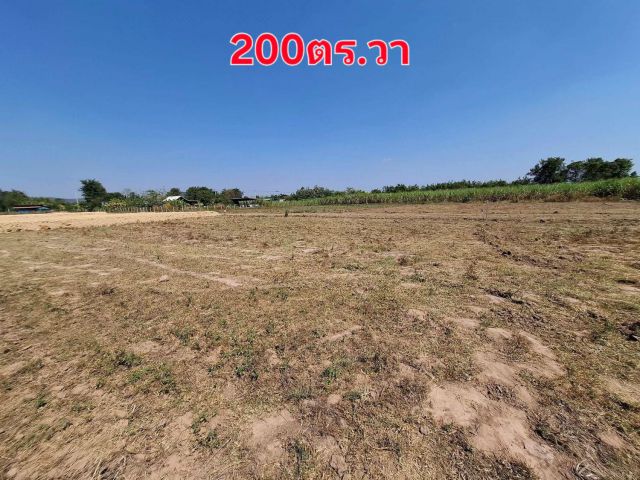 ขายที่ดินดิน200ตร.วาราคา4.5แสน ปลูกบ้านกำลังสวย อยู่ในเขตเทศบาลตำบลหินกอง