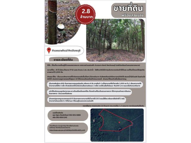 ขายที่สวนยางพารา 25 ไร่ พร้อมต้นยาง อายุ 11 ปี อ.เกาะจันทร์ จ. ชลบุรี