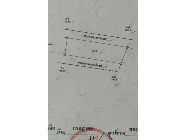 ที่ดินเปล่า 2 งาน 31 ตารางวา
