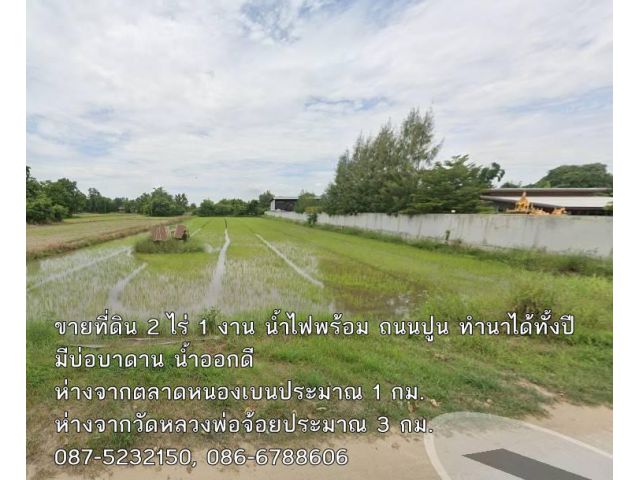 ขายที่ดิน 2 ไร่ ใกล้ตลาดหนองเบนเมืองนครสวรรค์