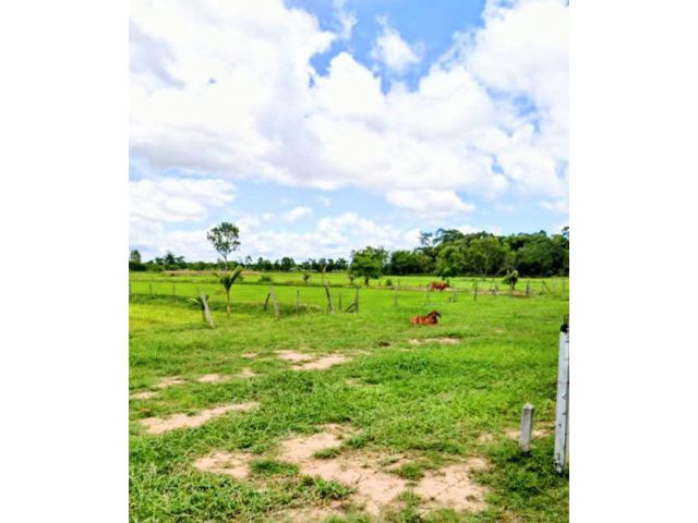 ที่ดิน ที่นา บรรยากาศดี อ.นางรอง บุรีรัมย์